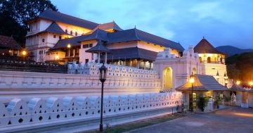 4 Nights 5 Days Highlights Tour of Sri Lanka