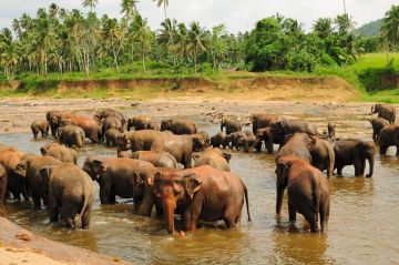 6 Days 5 Nights Culture & Nature Tour Package by Ceylon Best Holiday