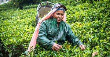 6 Days 5 Nights Culture & Nature Tour Package by Ceylon Best Holiday