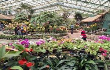 2 Days 1 Nights Gangtok Tour Package On Easy EMI.