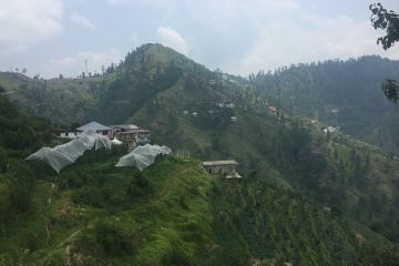 Tour Package 05days 04nights