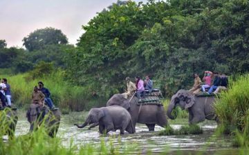 8 Days 7 Nights Shillong, Cherrapunjee, Dawki, Mawlyonnong, Kaziranga, Guwahati Tour Package Deluxe