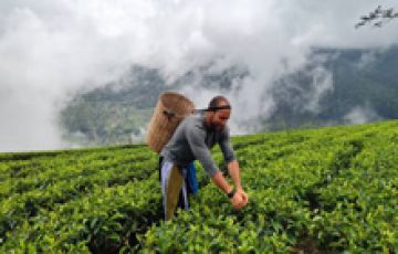 Romantic Sri Lanka Honeymoon Package - 05 Days - 04 Nights