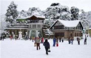 SHIMLA KUFRI 2 DAYS TRIP Package