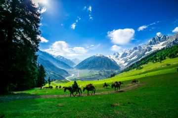 7 NIGHTS 8 DAYS KASHMIR TOUR PACKAGE