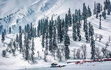 7 NIGHTS 8 DAYS KASHMIR TOUR PACKAGE