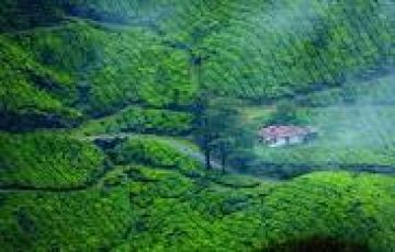 Amazing  Kerala 5 Days 4 Night tour packages