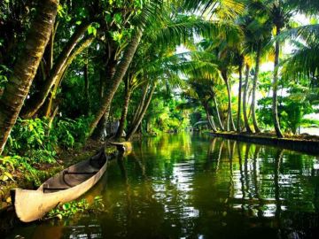 Cochin Munnar Thekkady Alleppey Kovalam Tour Package 8 Days