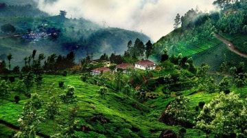 Mysore Coorg Ooty 5 Nights 6 Days