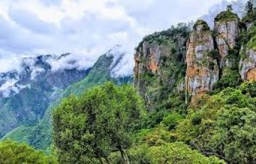 Bangalore Mysore Ooty Kodaikanal Tour Package 8 Days