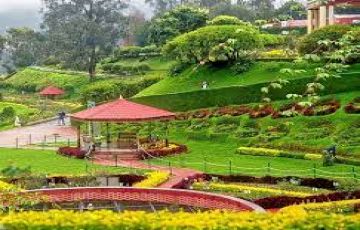 Romantic Ooty & Mysore Honeymoon Package