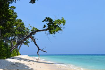 Gorgeous Andaman -5Night/ 6Day's  For Family or Couple