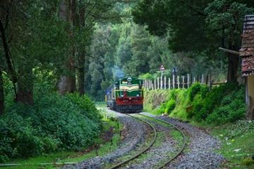 Mysore, Coorg and Ooty Luxury Tour Package for 5 Days 4 Nights by T20 TAXI - TOURS AND TRAVELS