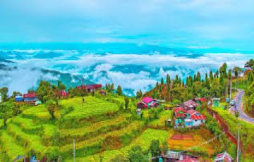Darjeeling Tour 4 Days By Trip Tours