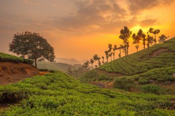 7 Days 6 Nights Kerala Tour vacations