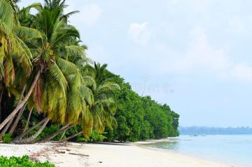 8 Days 7 Nights Port Blair Tour Package by Great Voyage