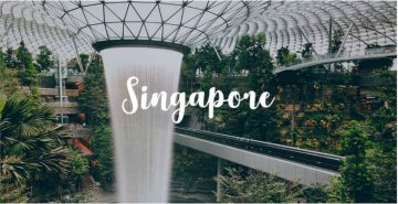 Singapore 5N & 6D with V Lavender