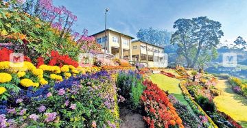 6 Days 5 Nights Kochi Honeymoon Holiday Package by AGO TRAVELINGFUNS HOLIDAYS PRIVATE LIMITED