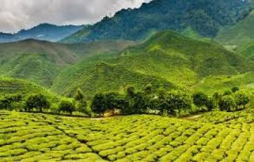 2 Days 1 Nights Mithila Tour Package