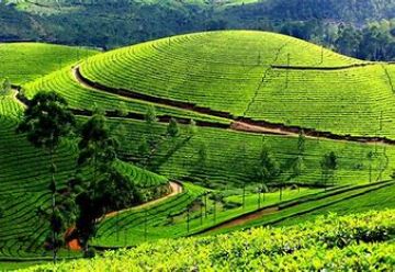 4 Days 3 Nights Kochi Tour Package by Dream Destination Holiday