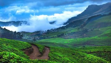 3 Days 2 Nights Munnar Tour Package by SEVEN BELLS HOLIDAYS