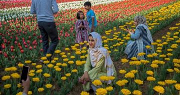 Magical 4 Days 3 Nights Srinagar Tour Package by Dream Destination Holiday