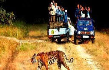 5 Days 4 Nights Rishikesh, Nanital, Ranikhet and Jim Corbett Tour Package