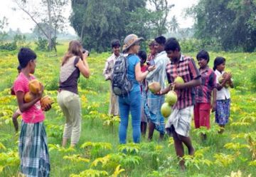 Kerala Tour Package  - 4 Night 5 Days -  Stay 1 Night in Deluxe AC  Houseboat