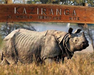 4 Days 3 Nights Kaziranga Tour Package