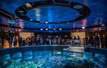 ADVENTUROUS REUNION PACKAGE OF 8 NIGHTS & 9 DAYS
