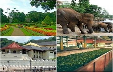 7 Days 6 Nights Tour Package by Beauty Lanka Travels