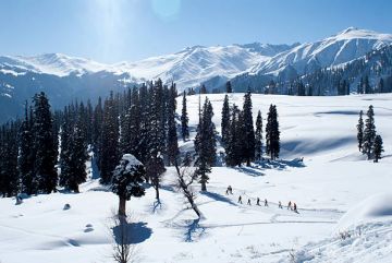 Explore the beauty of kashmir 5N/6D