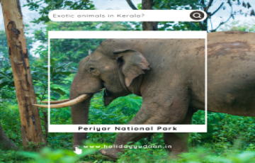 Kerala Tour Packages 3 Nights 4 Days