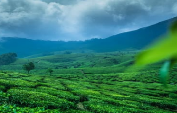 Kerala Tour Packages 3 Nights 4 Days