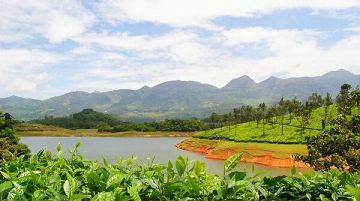 Mesmerising Munnar Short Stay -Weekend Package