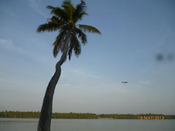 3 N / 4 D HIll Station and Backwater Package