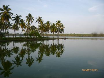 Budget Friendly 4 N / 5 D Package - Hill station, WIldlife and Backwater