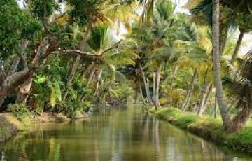 Amazing Kerala Tour Package 4 Nights / 5 Days