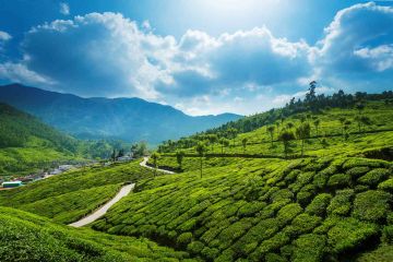 Amazing Kerala Tour Package 4 Nights / 5 Days