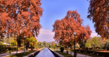 Glimpse of Kashmir - Family Package