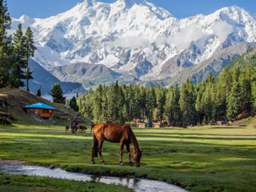 Beautiful 10 Days 9 Nights Hunza Tour Package by Dark Sky Tourism