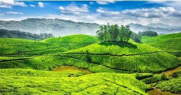 Kerala luxury 4night 5 days package