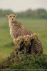 3 Days 2 Nights Masai Tour Package by Eco World Safaris