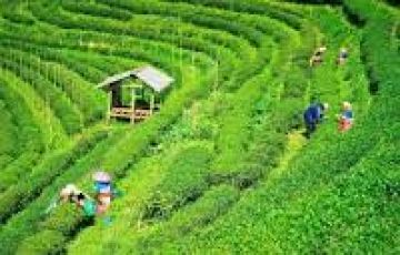Ecstatic 4 Days 3 Nights darjeeling Tour Package by PIXEL PARADISE