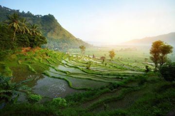 6 Nights 7 Days Bali Lovecation