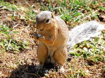 7 Days Kenya Classic Highlights and Cultural Safari Tour