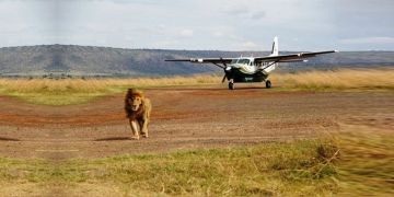 3 Days Flying Safari Package From Nairobi or Mombasa to Masai Mara