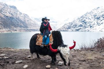 8 Days 7 Nights Gangtok Pelling Darjeeling Famous Tour Package