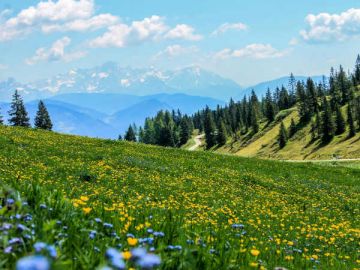 5 Days 4 Night Srinagar To Srinagar