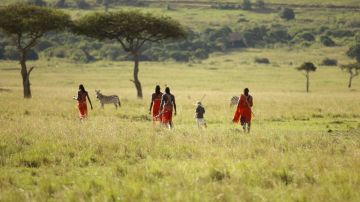 3 Days Masai Mara Game reserve - Nairobi to Nairobi Tour Package by Wildrace Africa Tours &amp; Safari Holidays